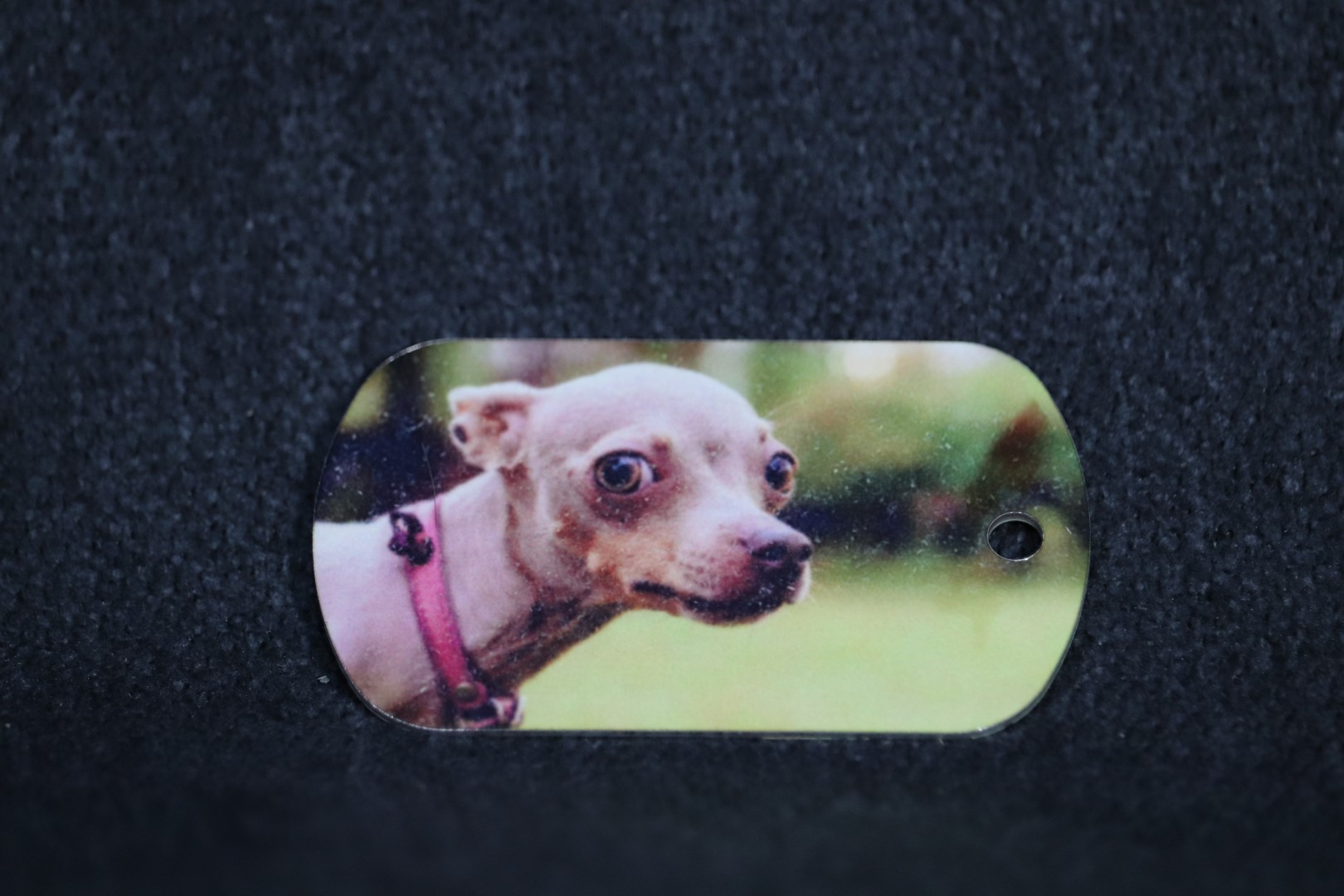 Full Colour Dogtag - Image 2