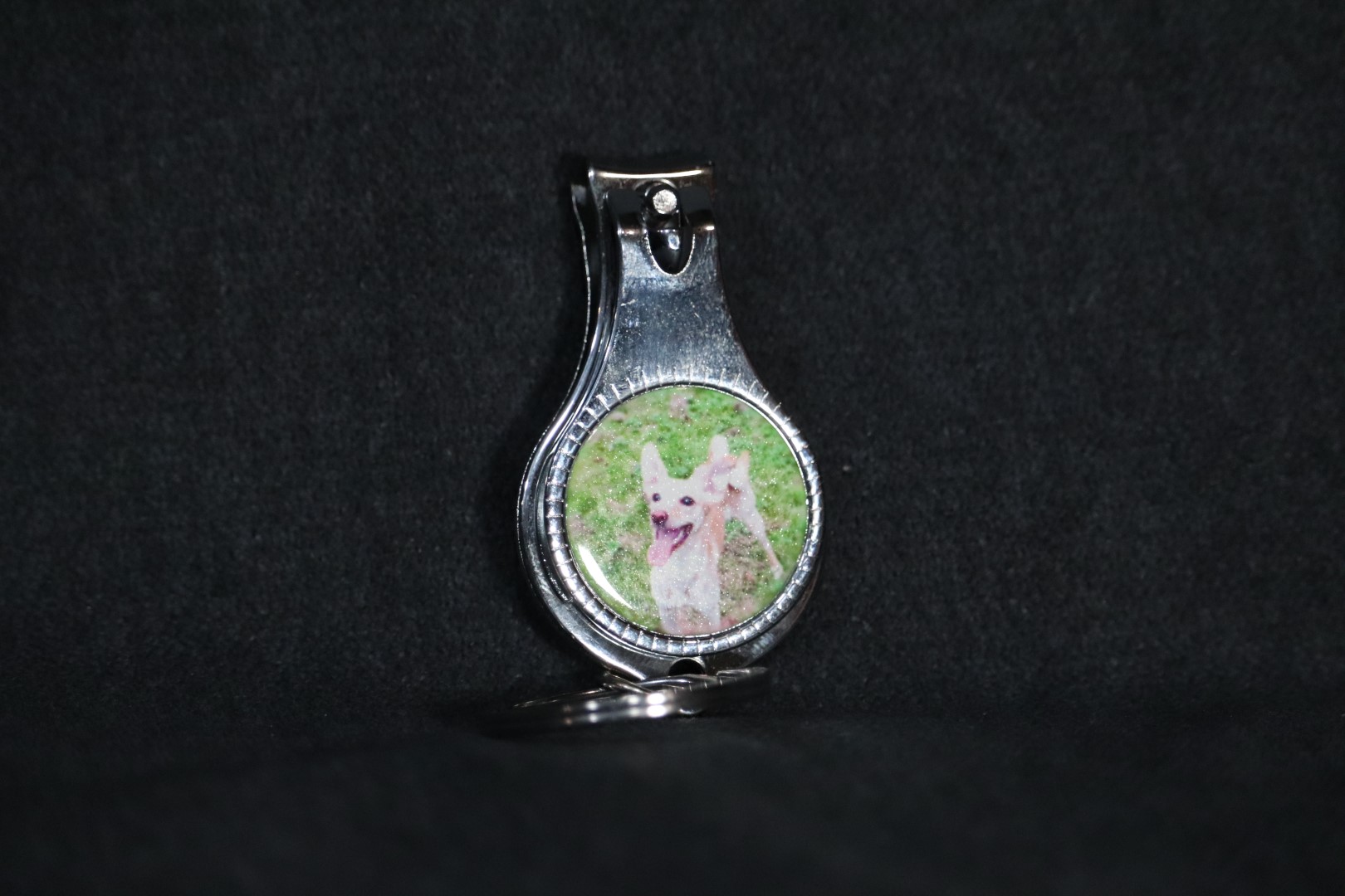 Nail Clippers - Image 1